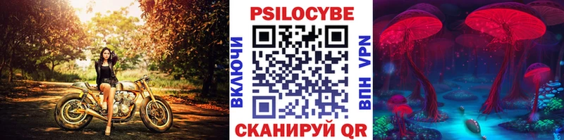 купить Кодинск Псилоцибиновые грибы GOLDEN TEACHER
